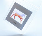 ....and Away We Go! Film Keychain - Mountain Horse
